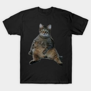 Riley the derp king T-Shirt